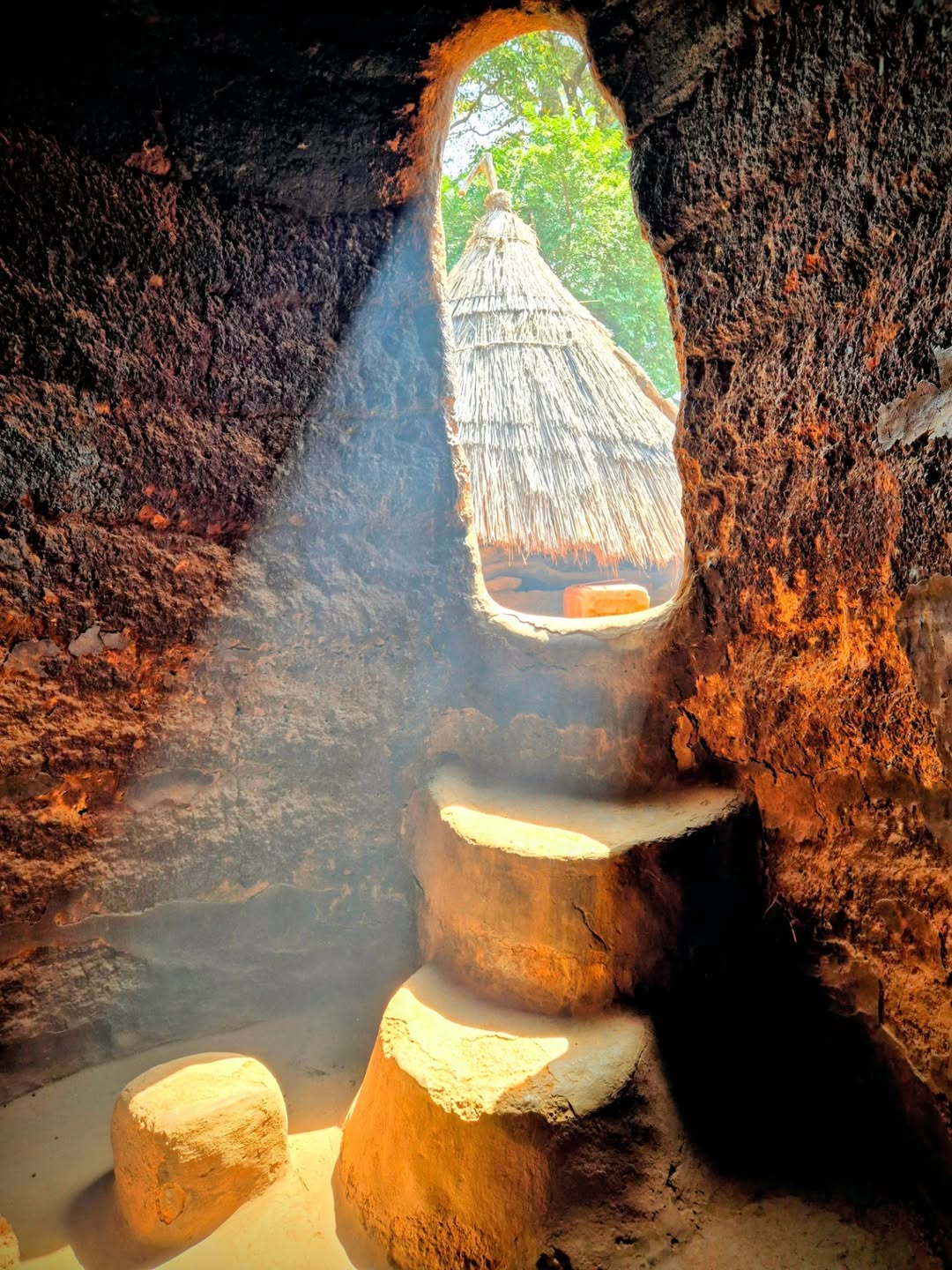 image du tata